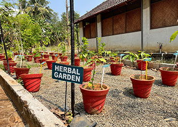 Ayurvedic Treatment Centre Herbal Garden