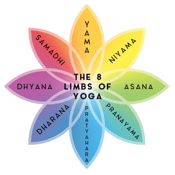 The 8 Limbs of Yoga