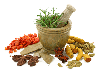 Ayurveda and Herbs at Ayuryogashram