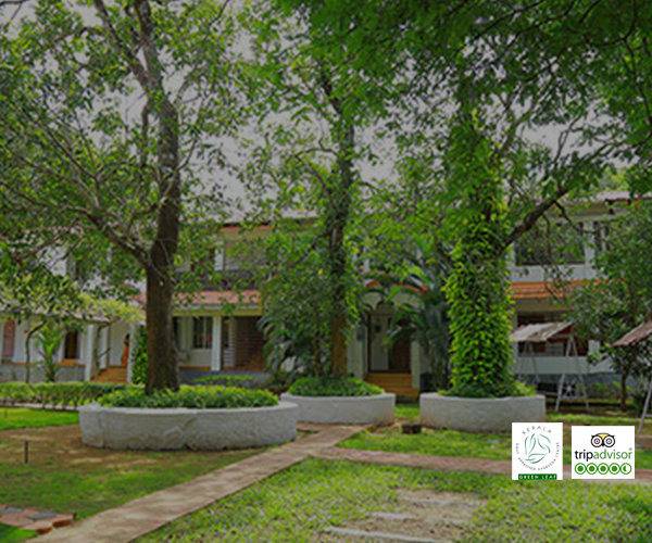 Ayurveda Treatment Resorts in Kerala Banner