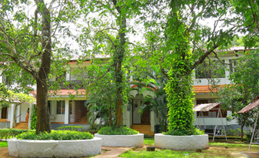 Best Yoga Therapy in Kerala Best Yoga Therapy in Kerala